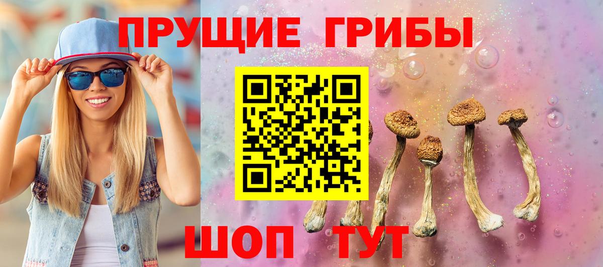 Псилоцибиновые грибы Psilocybe Коркино