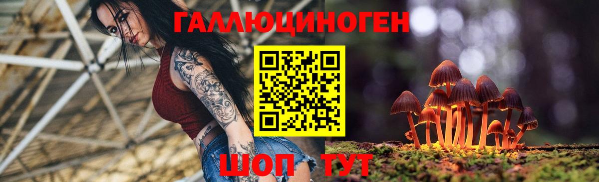 Коркино  Галлюциногенные грибы прущие грибы  Вход с VPN 